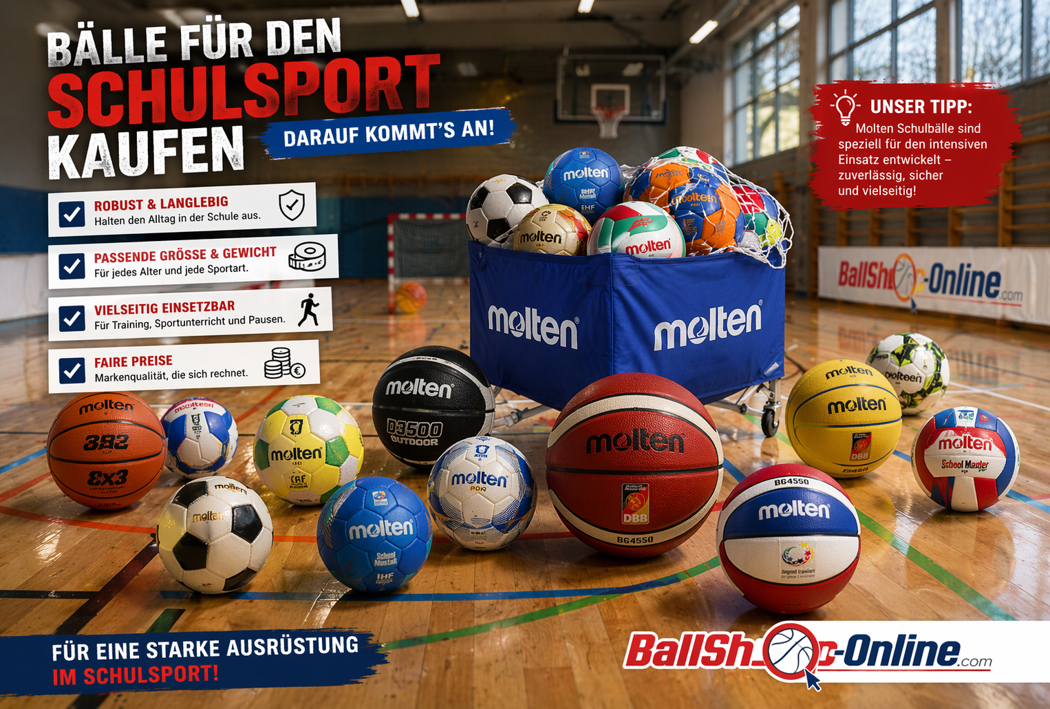 Bälle für den Schulsport kaufen